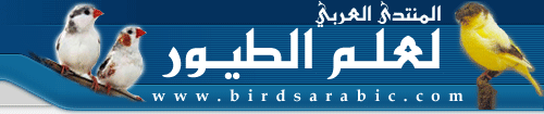 المنتدى العربي لعلم الطيور