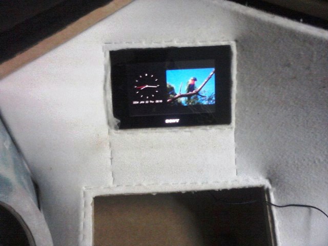 Bild