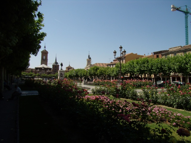 Un día en Alcalá de Henares - Blogs de España - Alcalá: Las razones por las que es considerada Patrimonio de la Humanidad. (11)