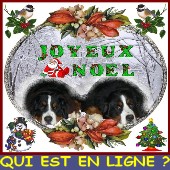 Qui est en ligne ?