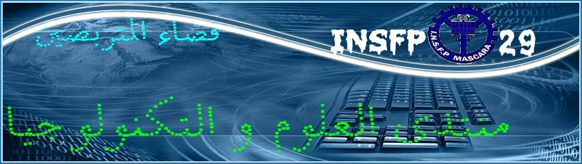 INSFP29