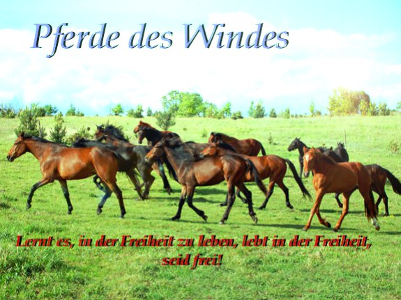 Pferde des Windes
