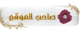 المدير المدير