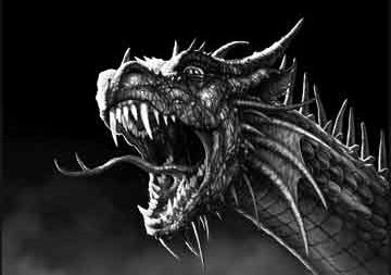 Dragões
