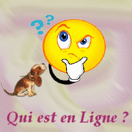 Qui est en ligne ?