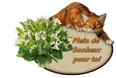 Qui est en ligne ?