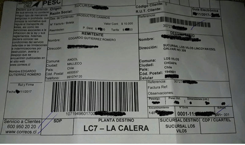 los_vi10.jpg