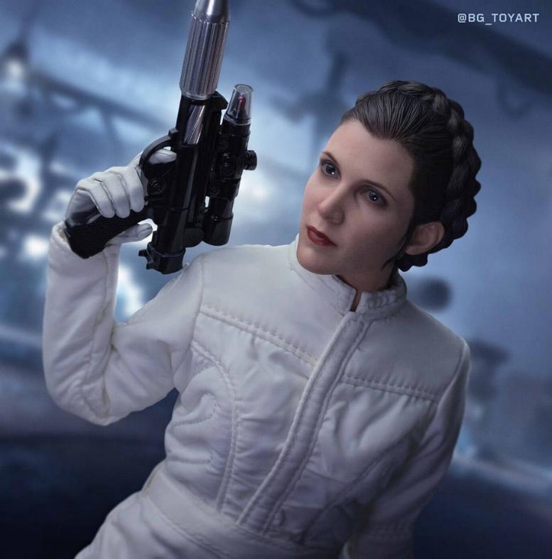 leia_h14.jpg