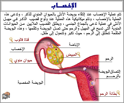 خليجية