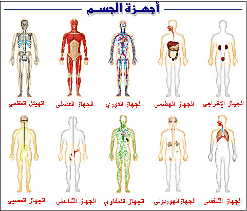 خليجية