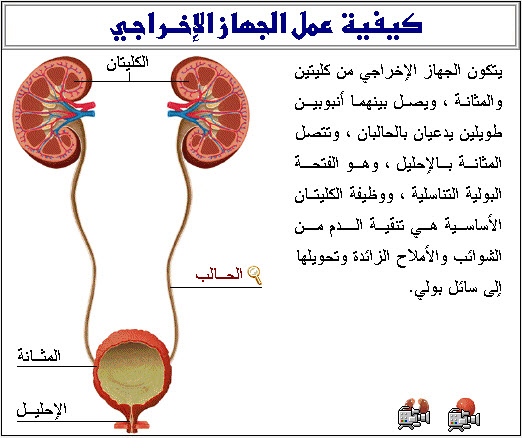 خليجية