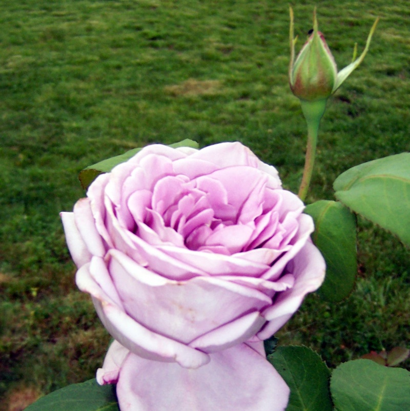 100_5310.jpg