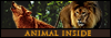 Animal Inside
