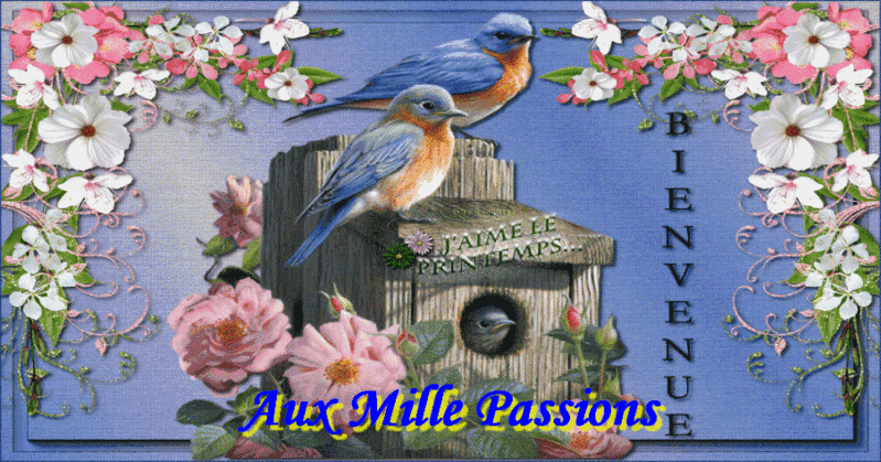 Aux Mille Passions
