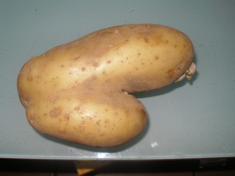 varios13.jpg