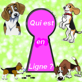 Qui est en ligne ?
