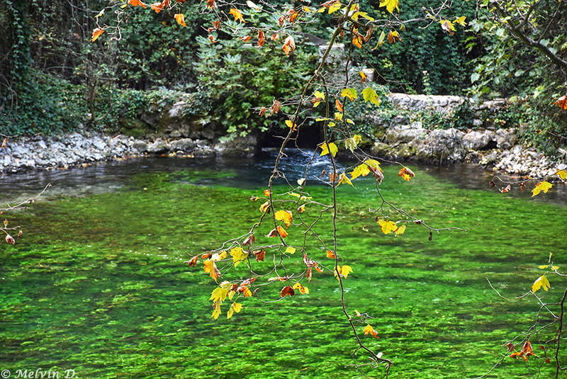 Image hébergée par servimg.com