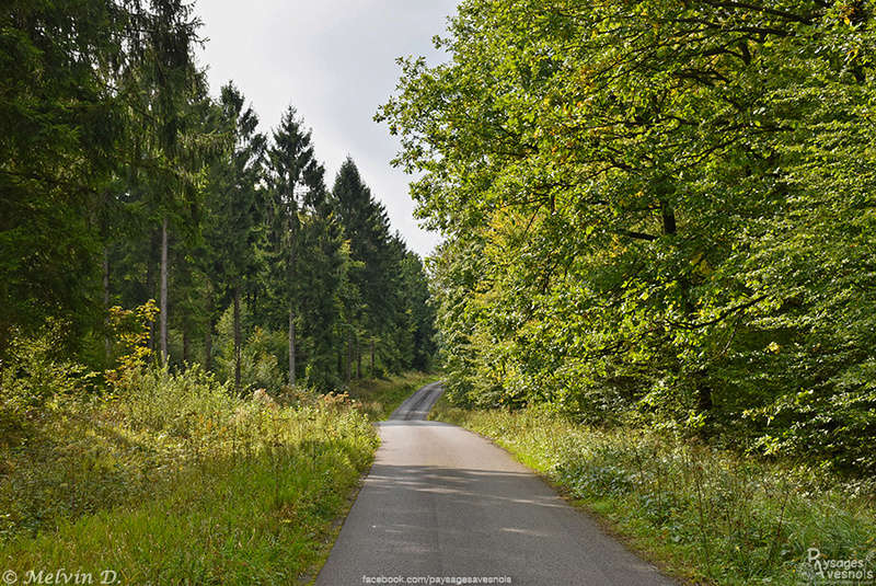 Image hébergée par servimg.com