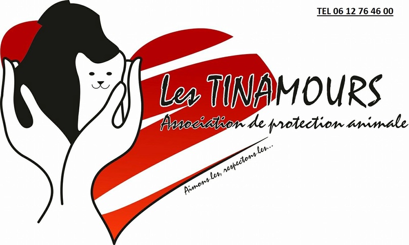 Association les Tinamours