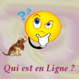 Qui est en ligne ?