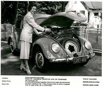 beetle10.jpg