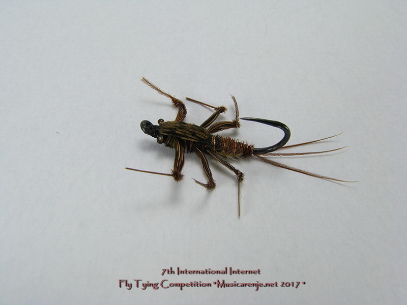 18._GORAN_IKRAEV_-_Caddis_Fly