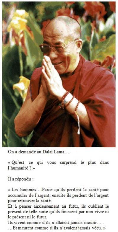 dalai_12.jpg