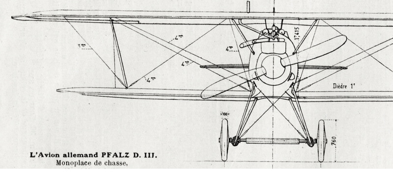 pfalz_10.jpg