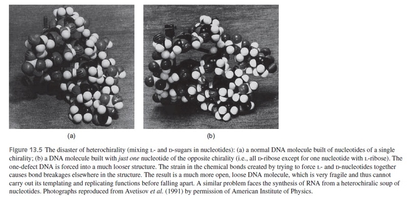 dna_fo11.jpg