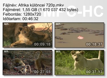 afrika10.jpg