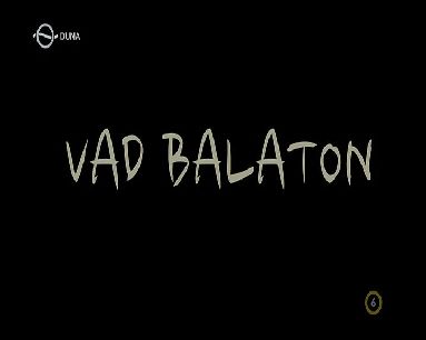 vad_ba10.jpg