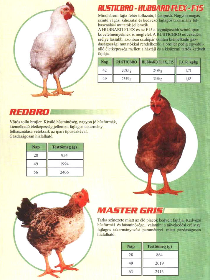 Сколько вес курицы