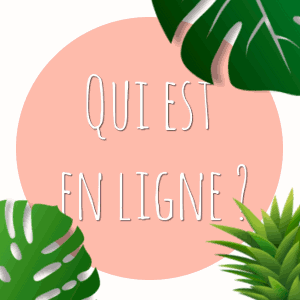 Qui est en ligne ?