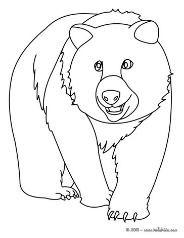 bear-010.jpg