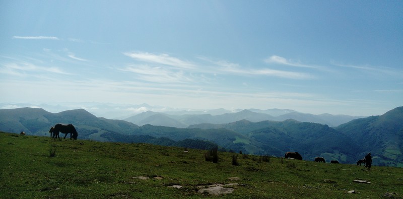 chevau12.jpg