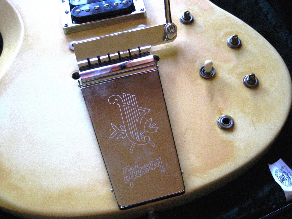 Gibson SG Special 3 knobs modifications, HELP ! | My Les Paul Forum