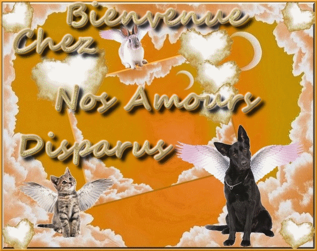 Nos Amours Disparus