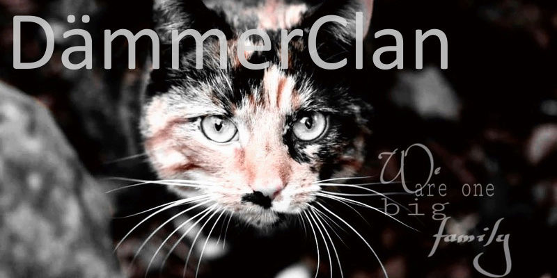 DämmerClan