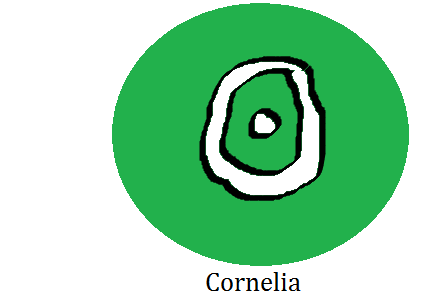 cornel10.png