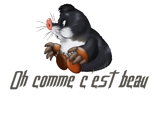 comme_42.gif